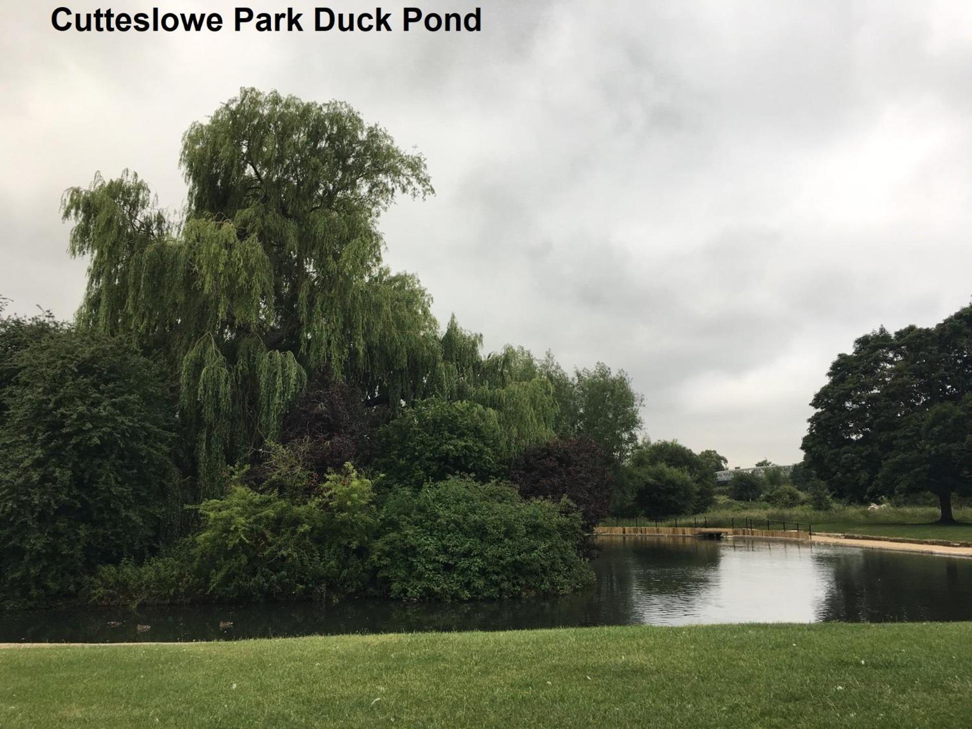 Elegant Serviced With Parking In * Oxford